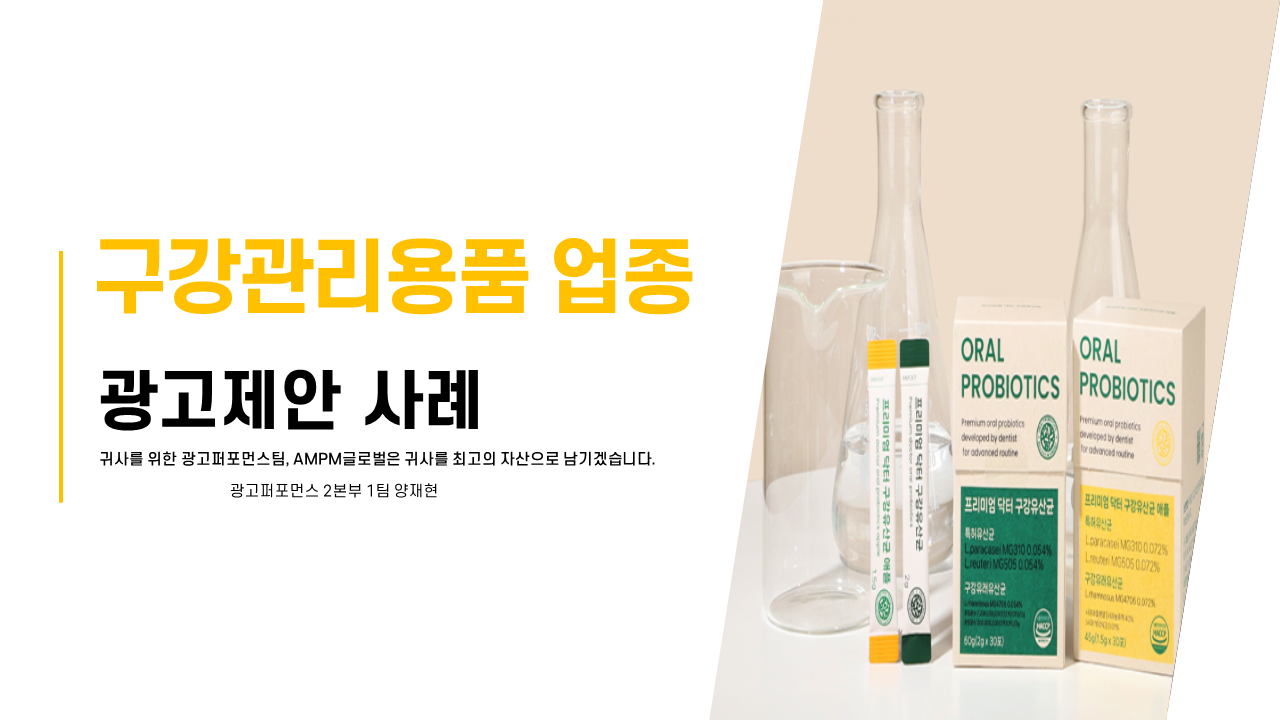 EC(이커머스) 구강관리 업종 D사 광고제안사례